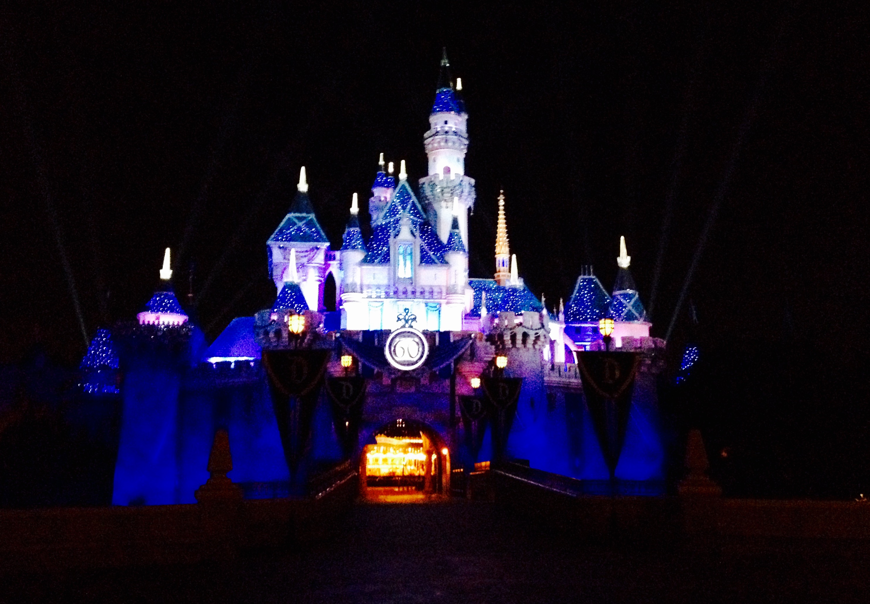 Disneyland Castle at Night